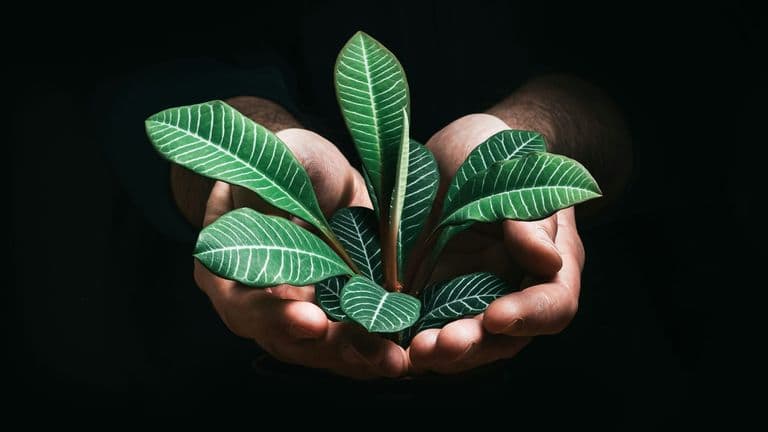 AI and Sustainability Drive Investment in 2025