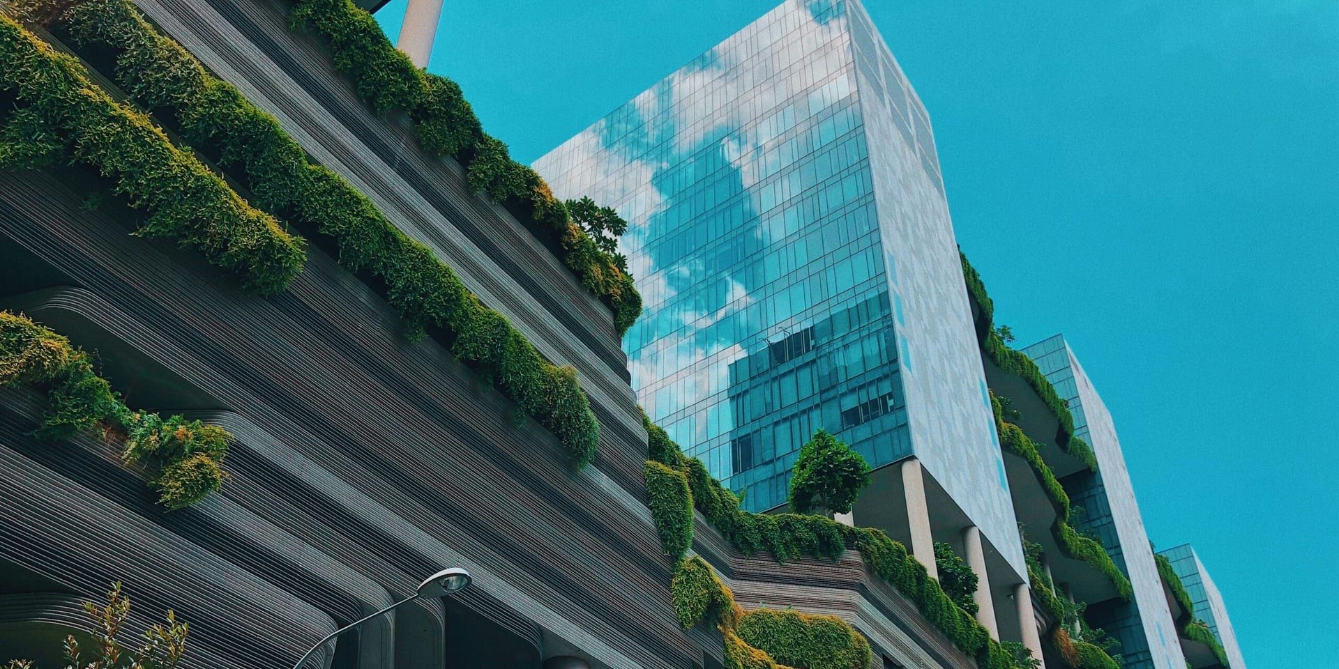 October 2024 Sustainability and Business Growth Summit: Innovating for a Greener Future