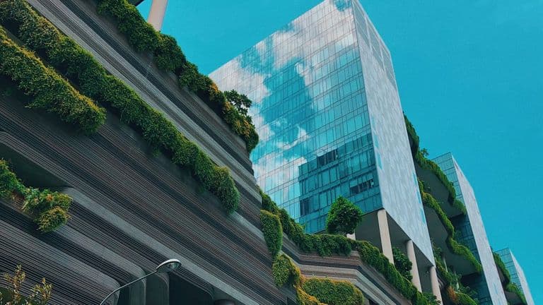 October 2024 Sustainability and Business Growth Summit: Innovating for a Greener Future