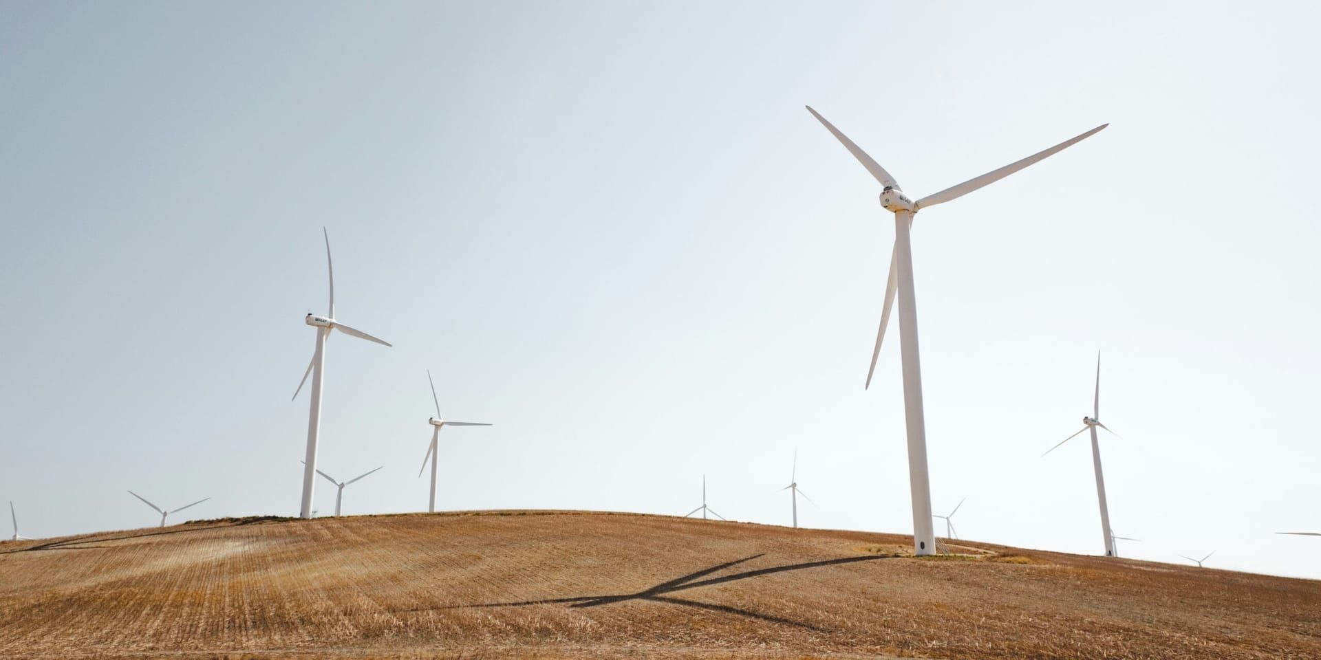 GreenEnergy Inc. CEO Unveils Sustainable Growth Strategy at 2025 Renewable Energy Summit