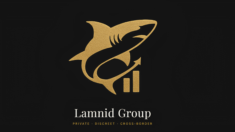 Marah Nakhla leading LAMNID Group, guiding strategic business growth, building trust, sustainable ventures, international markets, and intentional professional impact.