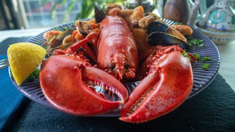 Red Lobster Emerges from Bankruptcy with New Ownership and Leadership