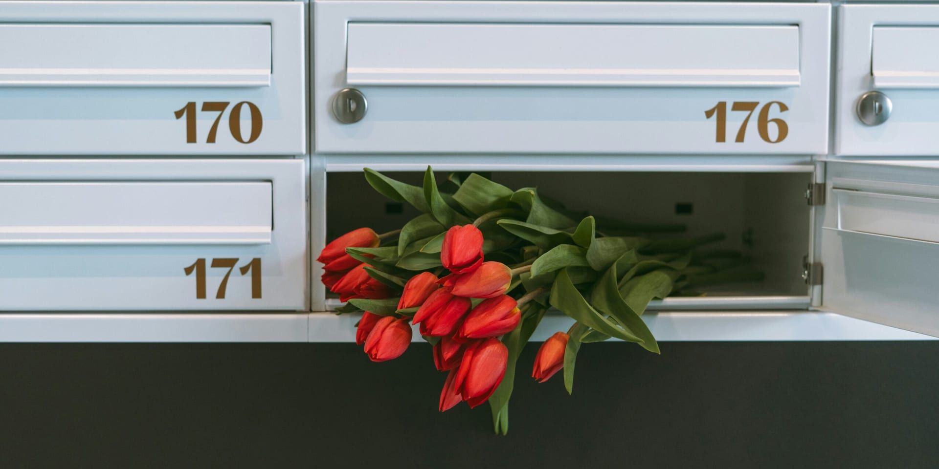 Postmaster General Louis DeJoy Resigns Amid Policy Clashes and Privatization Push
