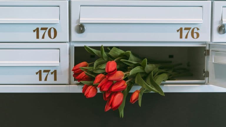 Postmaster General Louis DeJoy Resigns Amid Policy Clashes and Privatization Push