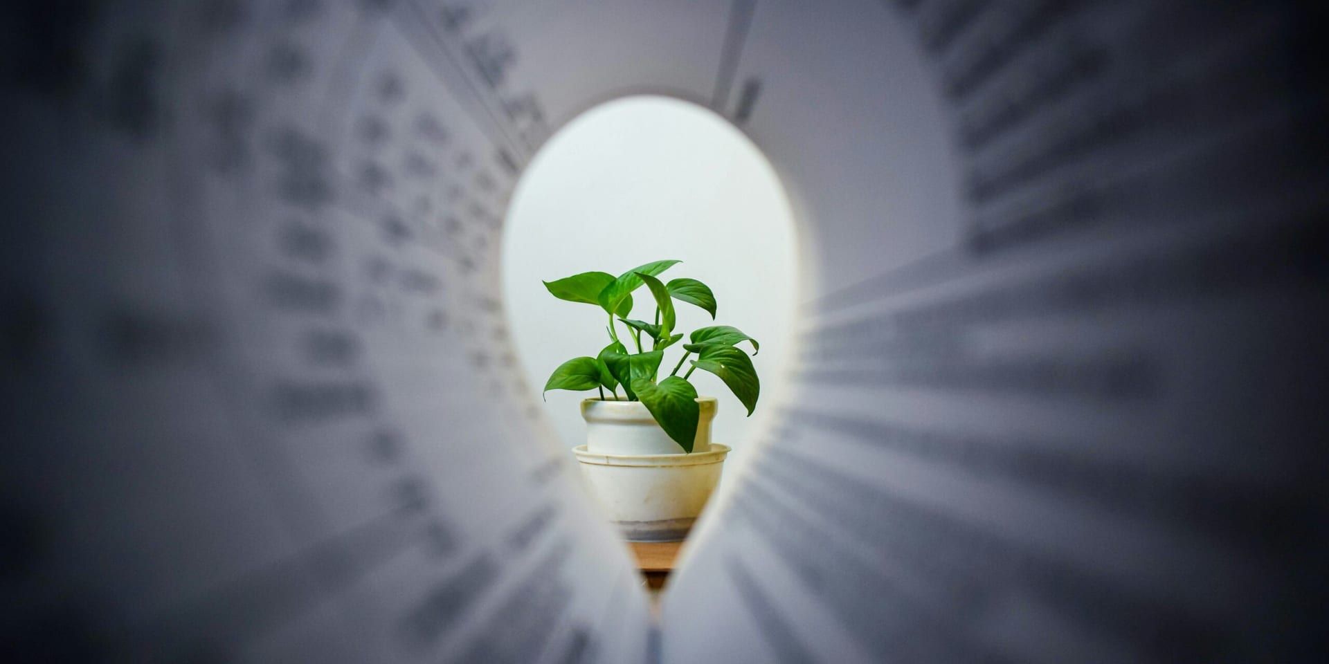 The Power of Purpose-Driven Business Growth: Key Strategies for 2023 and Beyond