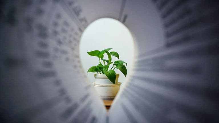 The Power of Purpose-Driven Business Growth: Key Strategies for 2023 and Beyond
