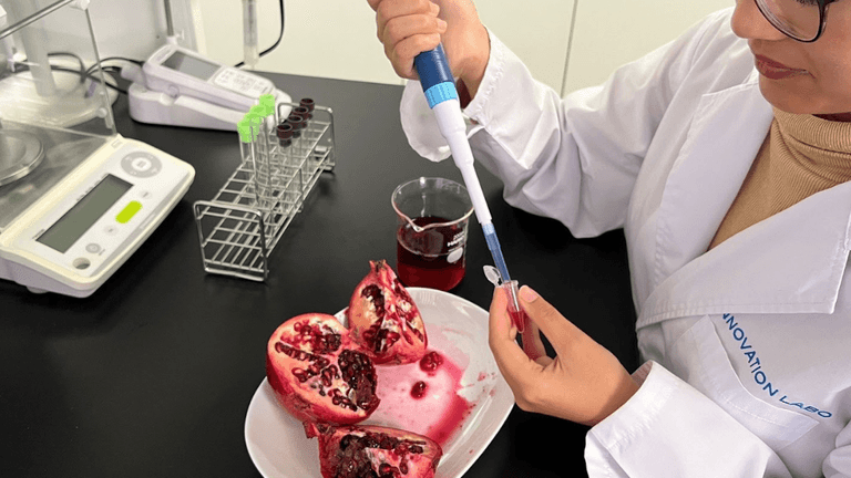 Discover how fermented pomegranate creates full-spectrum urolithins, reshaping longevity nutrition, functional foods, and investment opportunities.