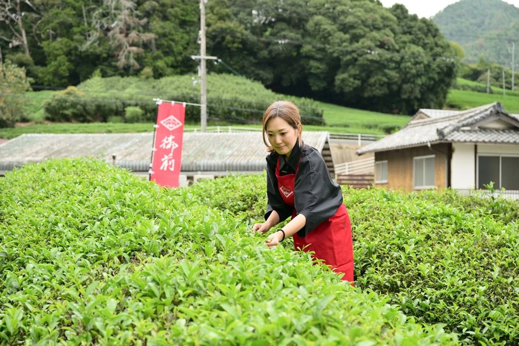 How Gozen Matcha from Uji reveals the hidden biology behind legendary focus.
