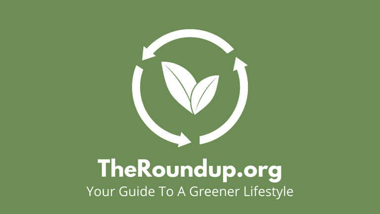 How one independent media brand is cutting through greenwashing to help everyday people make genuinely eco-friendly choices.