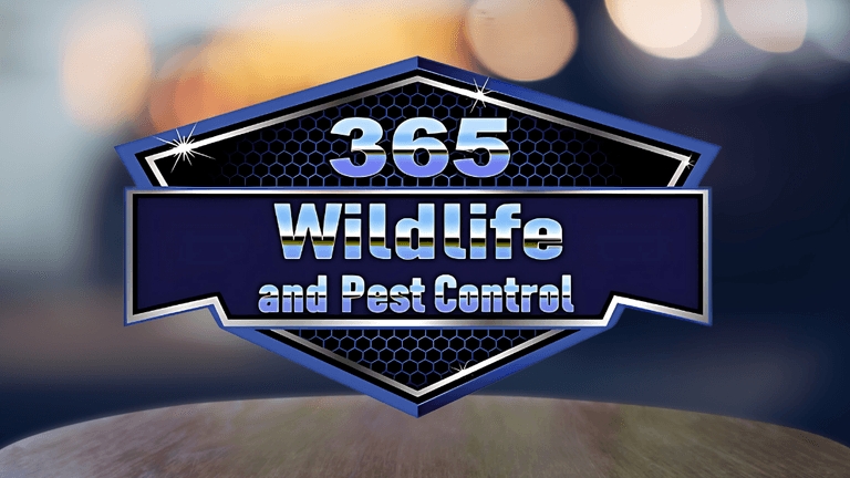 365 Wildlife & Pest Control