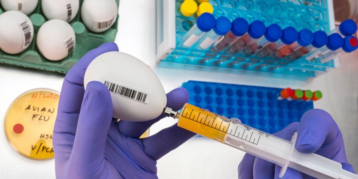 Na Image Editing (10)