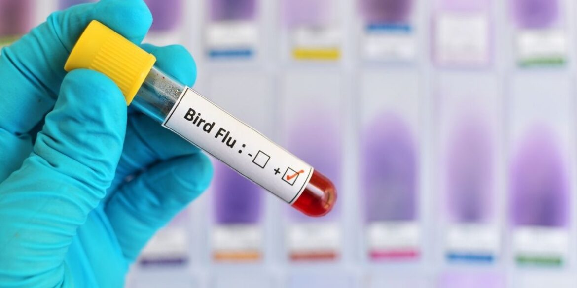 Na Image Editing (7)