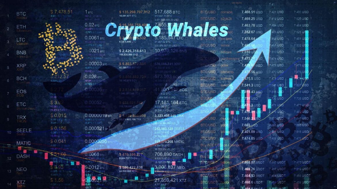 Crypto whale nets $6.8 million from trump’s reserve news