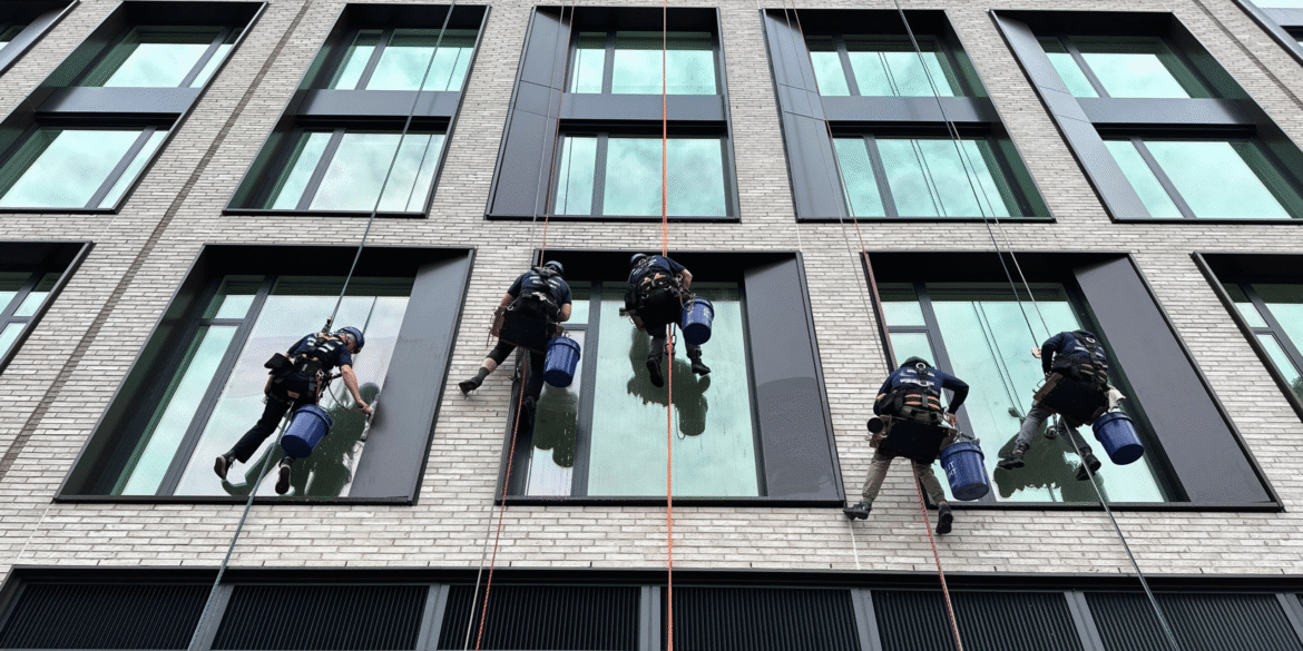 As seen on logos (15)