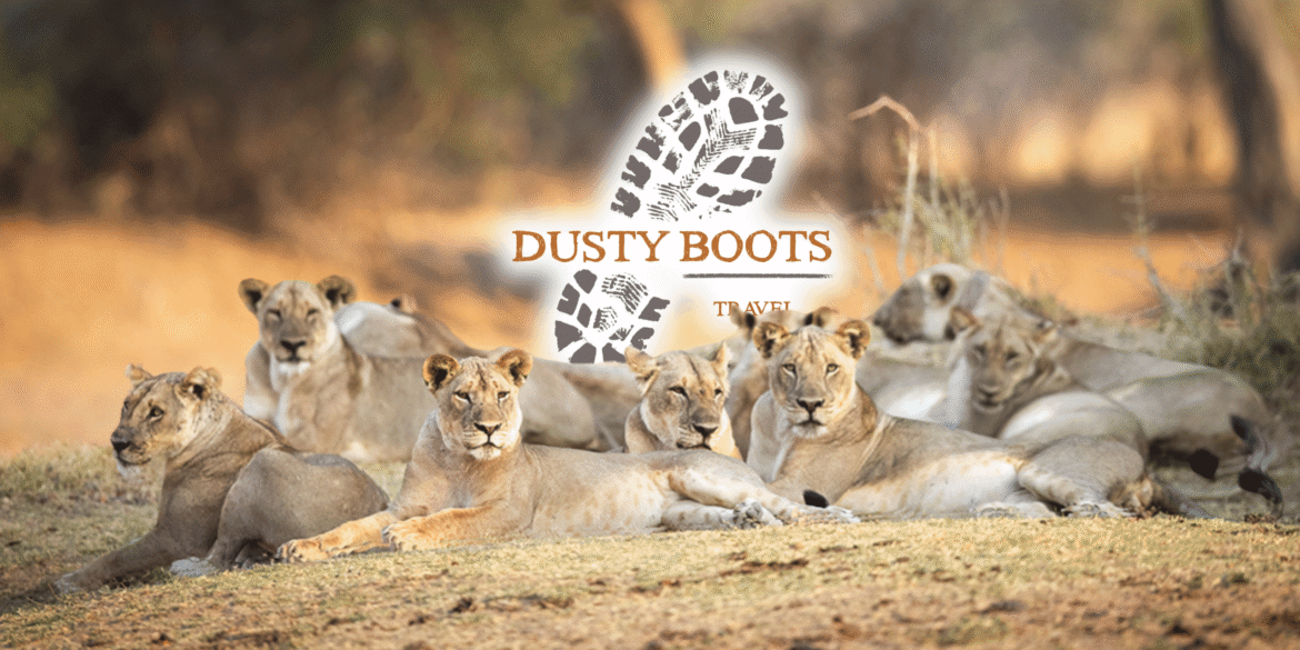 Dusty Boots Travel