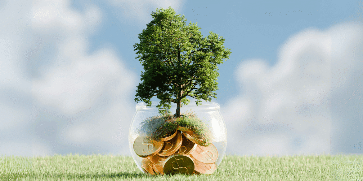 "Tree growing from a jar of coins symbolizing financial growth and investment, with a backdrop of grassy fields and blue sky."