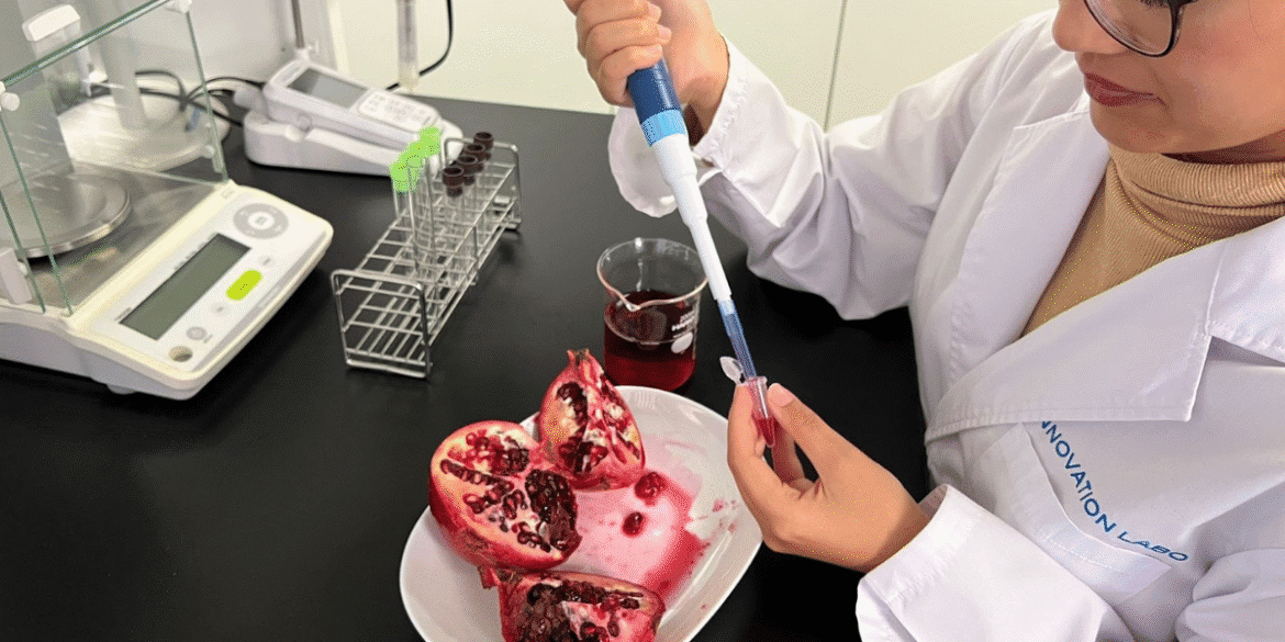 Discover how fermented pomegranate creates full-spectrum urolithins, reshaping longevity nutrition, functional foods, and investment opportunities.