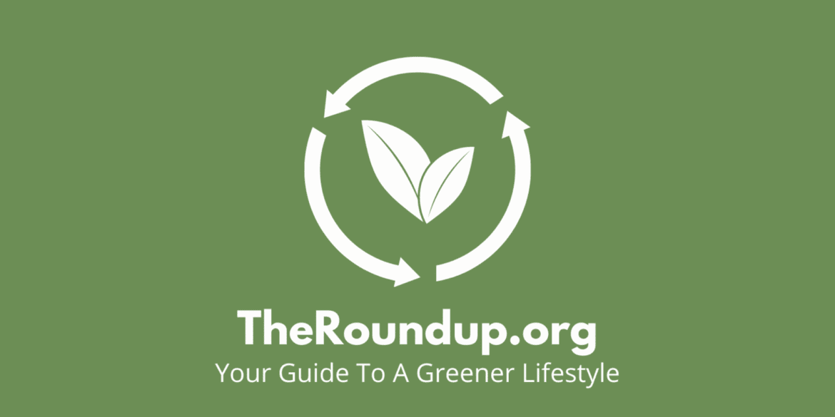 How one independent media brand is cutting through greenwashing to help everyday people make genuinely eco-friendly choices.